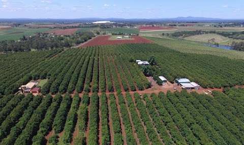 Photo: PRIME Orchards